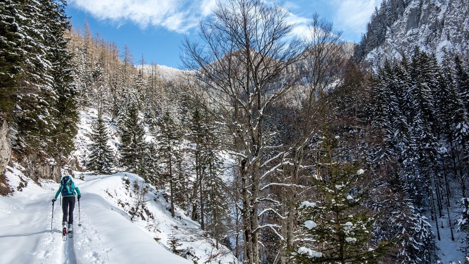 Skitour Skitour Hochtürnach im Salzatal Wildalpen - Touren-Impression #2.3 | © TV Gesäuse