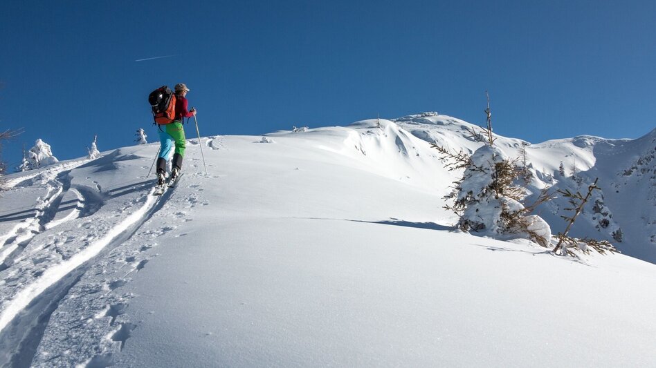 Skitour Skitour Hochtürnach im Salzatal Wildalpen - Touren-Impression #2.4 | © TV Gesäuse