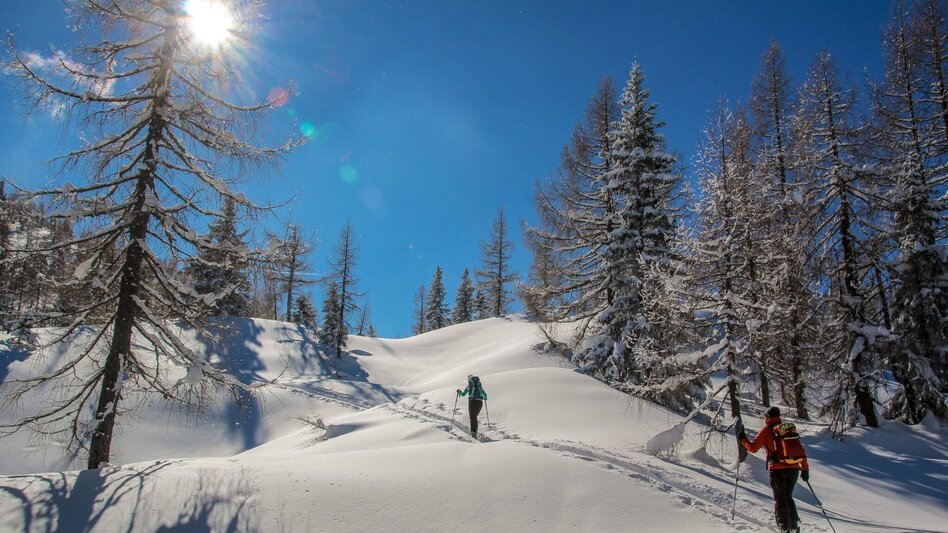 Skitour Skitour Hochtürnach im Salzatal Wildalpen - Touren-Impression #2.6 | © TV Gesäuse