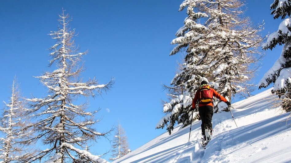 Skitour Skitour Hochtürnach im Salzatal Wildalpen - Touren-Impression #2.7 | © TV Gesäuse
