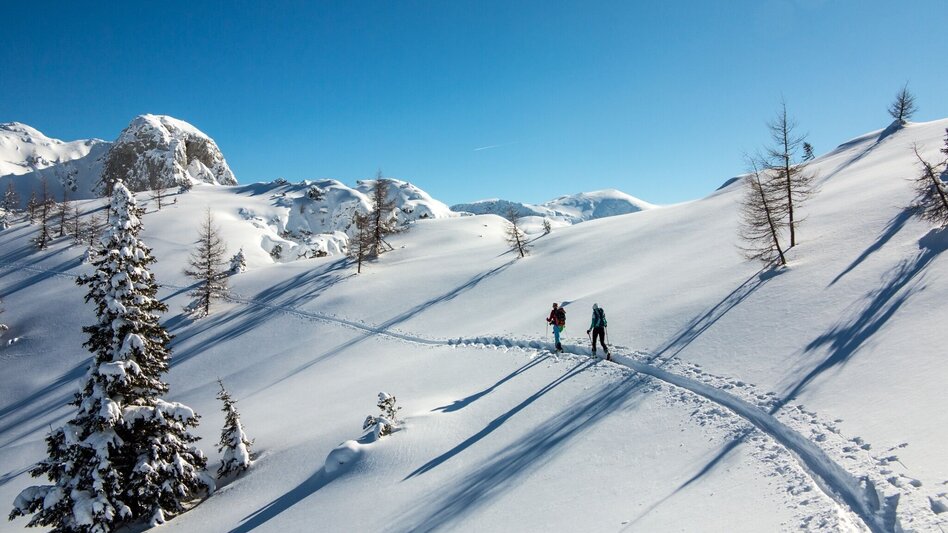 Skitour Skitour Hochtürnach im Salzatal Wildalpen - Touren-Impression #2.8 | © TV Gesäuse