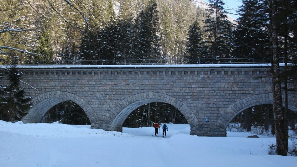 Skitour Skitour Hochtürnach im Salzatal Wildalpen - Touren-Impression #2.9 | © TV Gesäuse