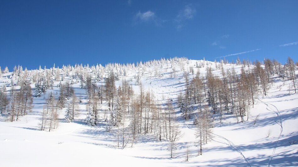 Skitour Skitour Hochtürnach im Salzatal Wildalpen - Touren-Impression #2.10 | © TV Gesäuse