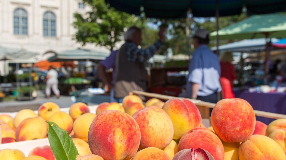 Stadtrundgang Altstadtrunde durchs Weltkulturerbe Graz - Touren-Impression #2.10 | © Graztourismus - Harry Schiffer