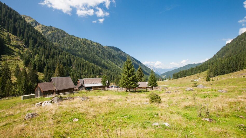Hiking route Cheeseway Planneralm - Touren-Impression #2.1 | © Erlebnisregion Schladming-Dachstein