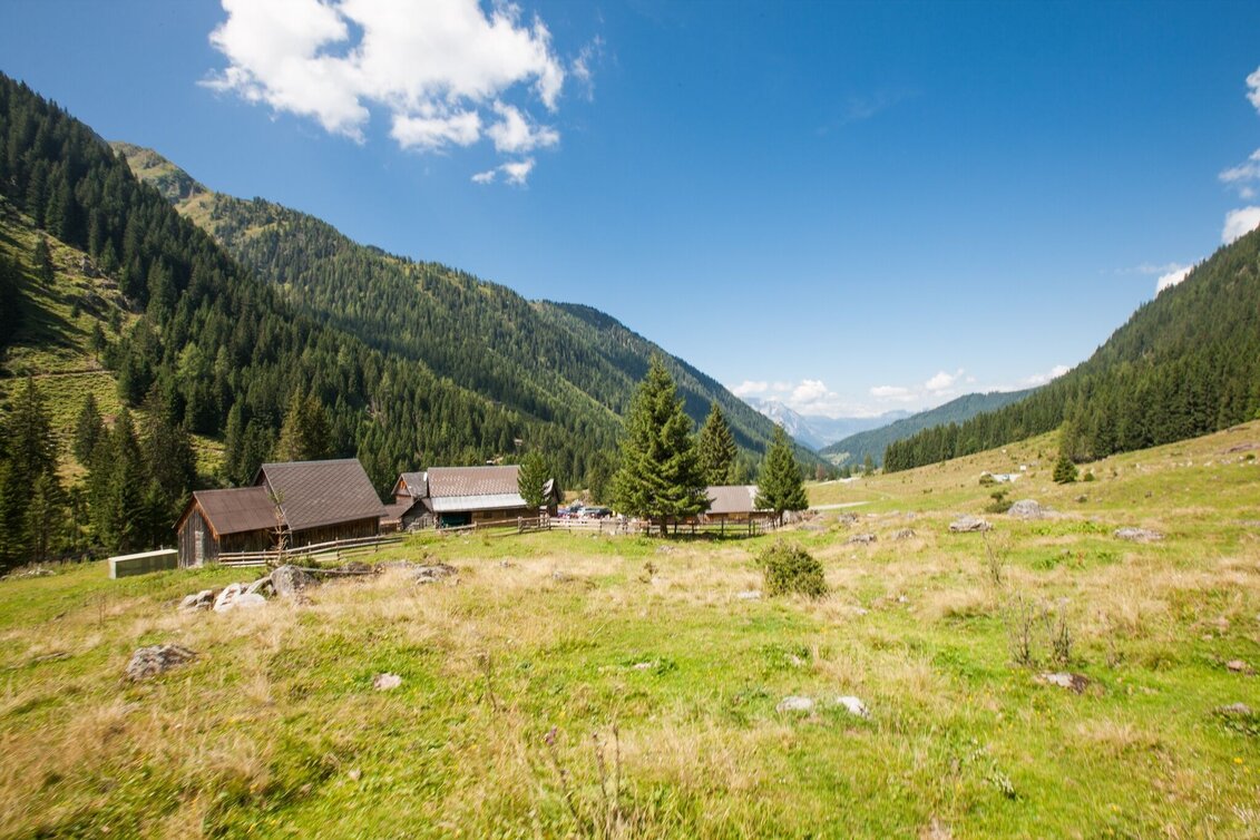 Hiking route Cheeseway Planneralm - Touren-Impression #1 | © Erlebnisregion Schladming-Dachstein