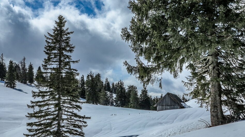 Ski Touring Buchberg über die Goss - Touren-Impression #2.4 | © TV Gesäuse