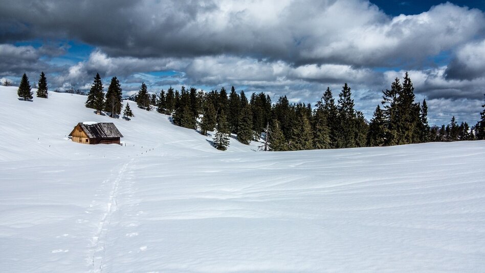 Ski Touring Buchberg über die Goss - Touren-Impression #2.5 | © TV Gesäuse