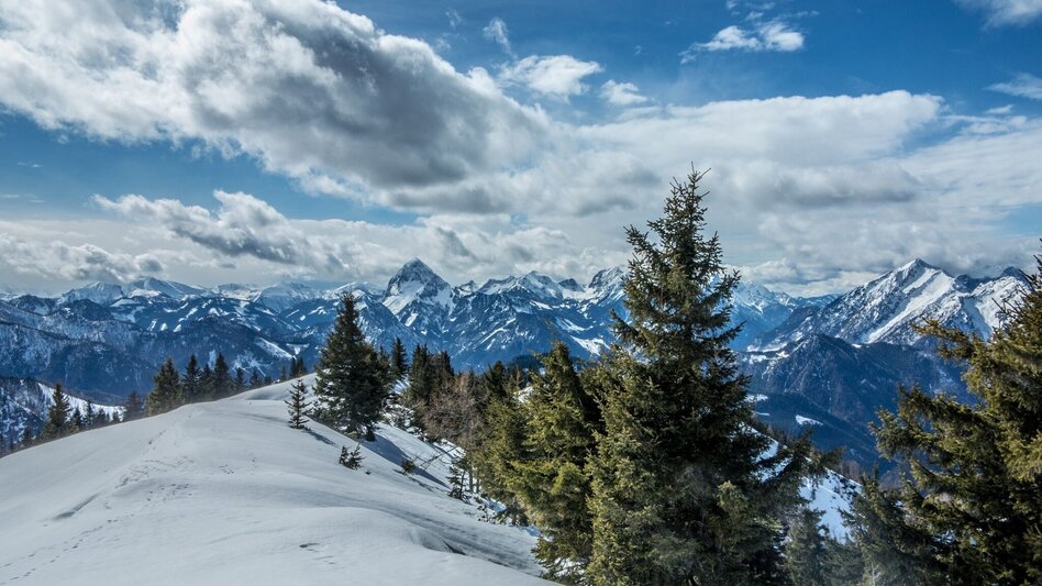 Ski Touring Buchberg über die Goss - Touren-Impression #2.8 | © TV Gesäuse