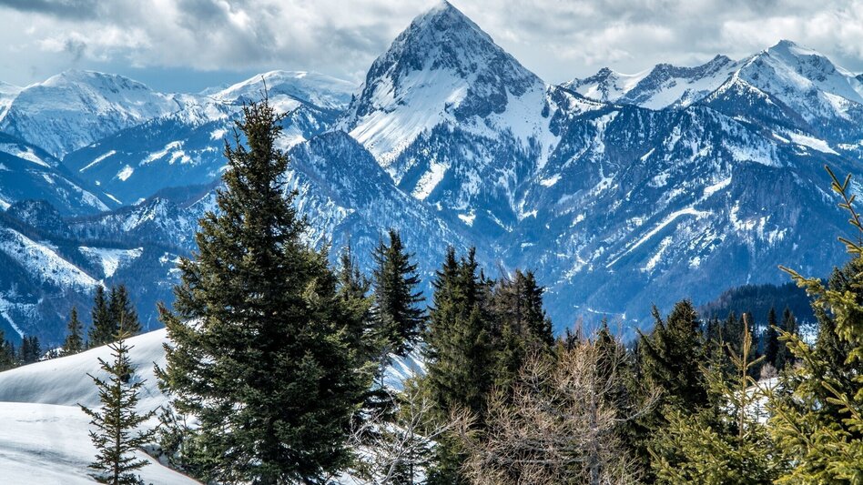 Ski Touring Buchberg über die Goss - Touren-Impression #2.9 | © TV Gesäuse