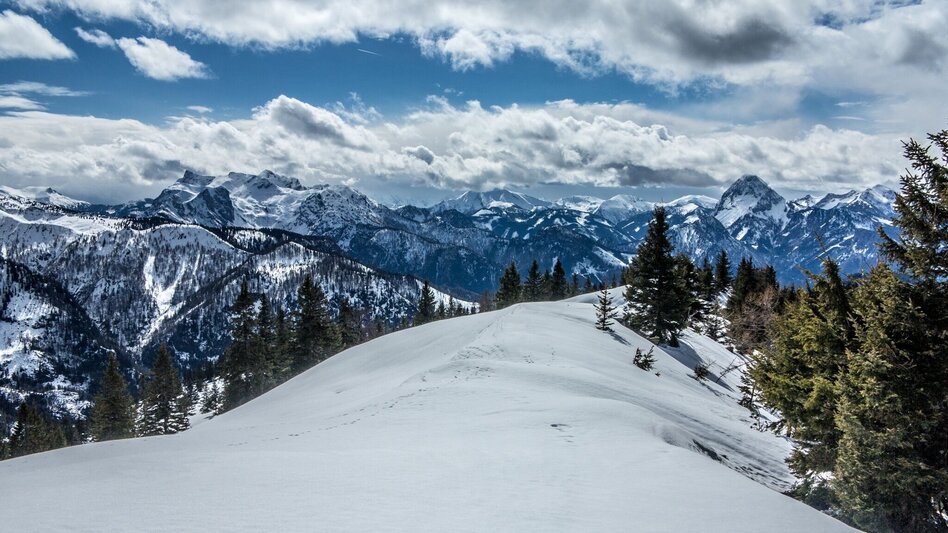 Ski Touring Buchberg über die Goss - Touren-Impression #2.10 | © TV Gesäuse