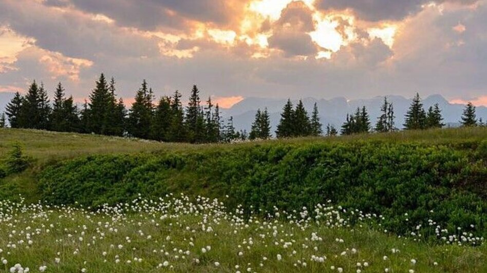 Mountain Biking Radstadt-Roßbrand Tour - Touren-Impression #2.6 | © Felix Dorn