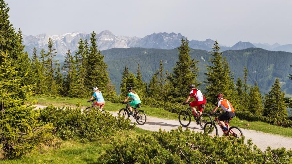 Mountain Biking Radstadt-Roßbrand Tour - Touren-Impression #2.9 | © SSW/Coen Weesjes