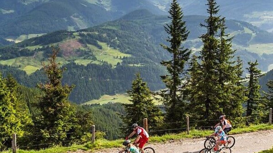 Mountain Biking Radstadt-Roßbrand Tour - Touren-Impression #2.11 | © SSW/Coen Weesjes