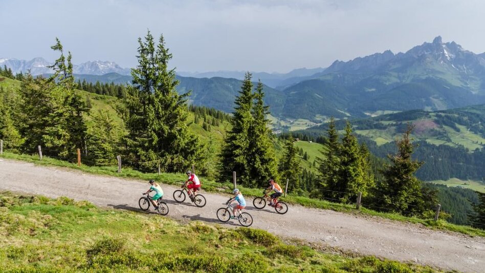 Mountain Biking Radstadt-Roßbrand Tour - Touren-Impression #2.12 | © SSW/Coen Weesjes