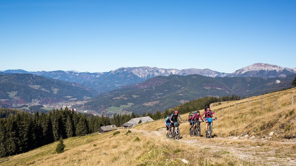 Mountain Biking Wind Park Pretul: From Spital to Friedrichhütte and Schwarzriegelalm - Touren-Impression #2.3 | © TV Hochsteiermark