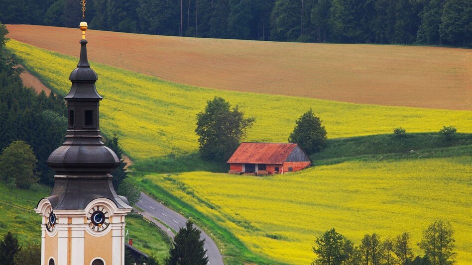 Bike Riding FB10 Forest and meadow tour Thermal and volcanic country Styria (FB10 Wald- und Wiesentour Thermen- und Vulkanland Steiermark) - Touren-Impression #2.1 | © Thermen- & Vulkanland