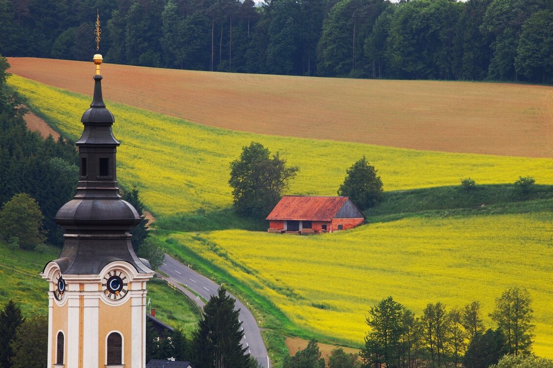 Bike Riding FB10 Forest and meadow tour Thermal and volcanic country Styria (FB10 Wald- und Wiesentour Thermen- und Vulkanland Steiermark) - Touren-Impression #1 | © Thermen- & Vulkanland