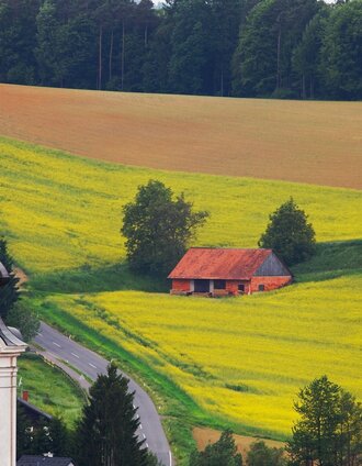 fb10 wald- und wiesentour thermen- und vulkanland steiermark_img_26748026 | Marktgemeinde Gnas | © Thermen- & Vulkanland