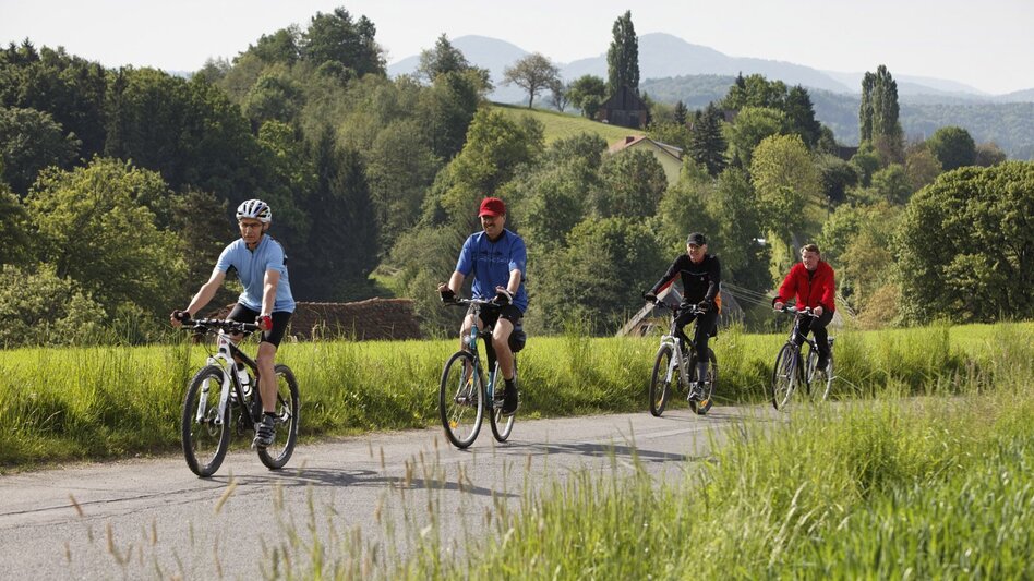 Bike Riding Cycling Star Tour Day 1 of 5 - The Castle and Pilgrimage Tour (Radsternfahrt Tag 1 von 5 - Die Burg- und Wallfahrtstour) - Touren-Impression #2.3 | © TV Thermen- & Vulkanland