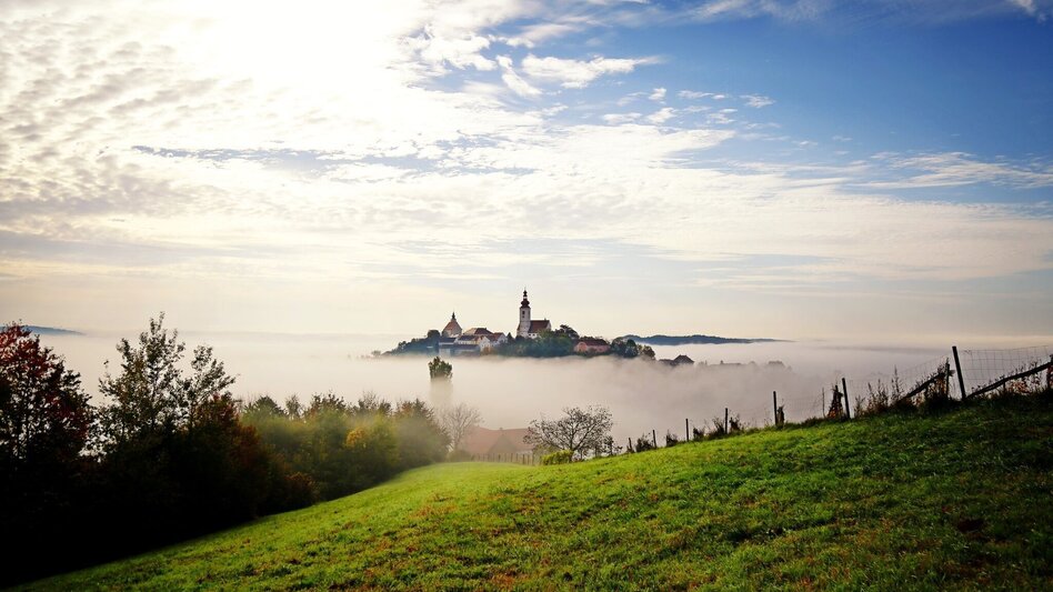 Radfahren Radsternfahrt Tag 2 von 5 - Hügellandtour - Touren-Impression #2.4 | © TVB Thermen- & Vulkanland