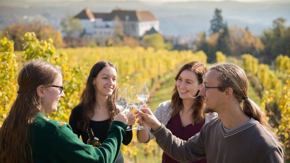 Bike Riding Cycling star tour day 4 of 5 - wine country tour (Radsternfahrt Tag 4 von 5 - Weinlandtour) - Touren-Impression #2.1 | © Erlebnisregion Thermen- & Vulkanland