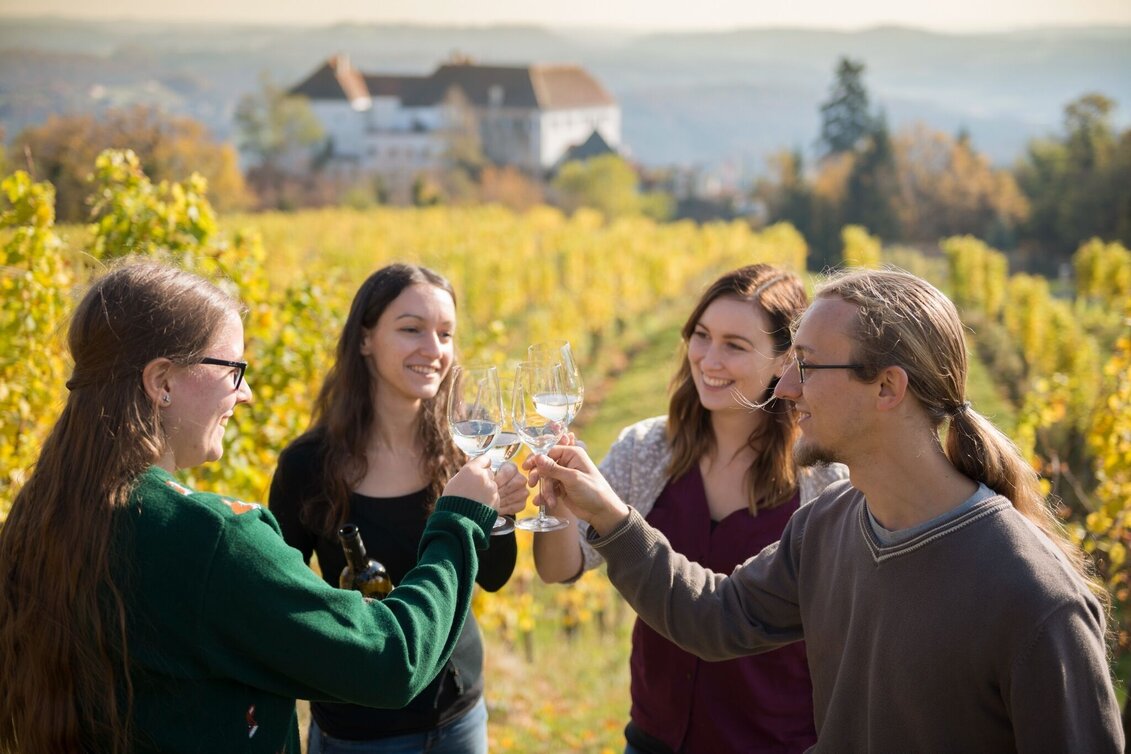 Bike Riding Cycling star tour day 4 of 5 - wine country tour (Radsternfahrt Tag 4 von 5 - Weinlandtour) - Touren-Impression #1 | © Erlebnisregion Thermen- & Vulkanland