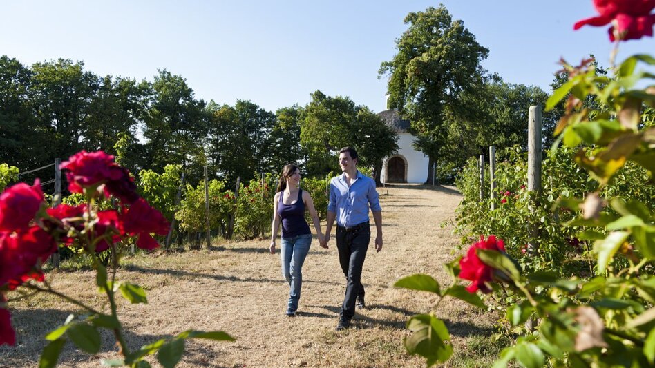 Bike Riding Cycling star tour day 4 of 5 - wine country tour (Radsternfahrt Tag 4 von 5 - Weinlandtour) - Touren-Impression #2.4 | © Erlebnisregion Thermen- & Vulkanland