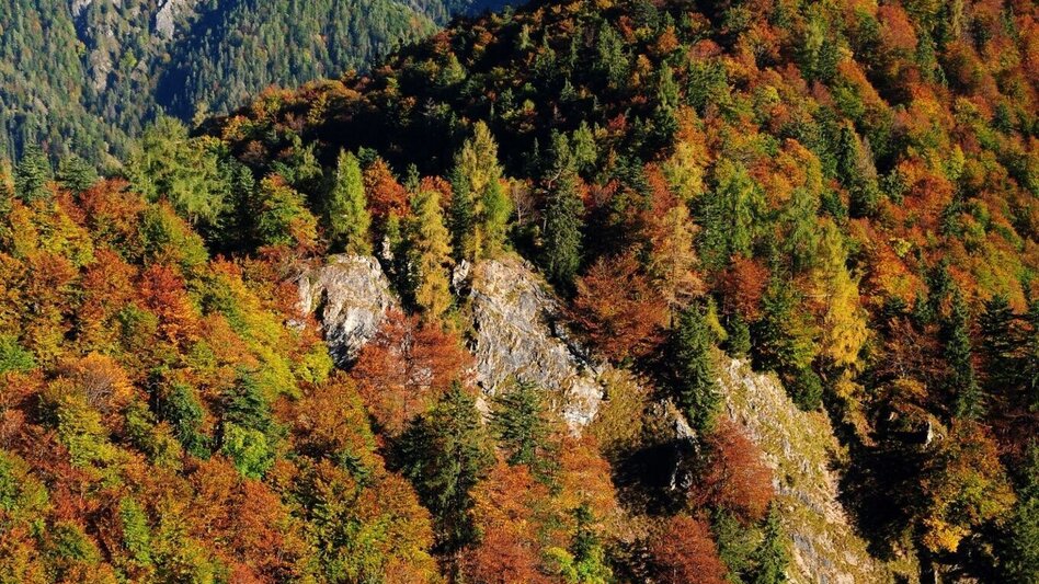 Wanderung Etappe 02 Luchs Trail Anlaufalm - Laussabaueralm - Touren-Impression #2.1 | © TV Gesäuse