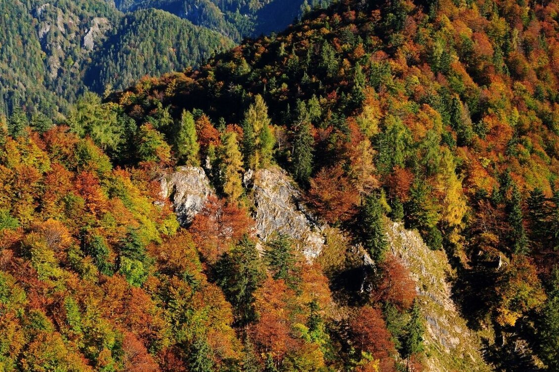 Wanderung Etappe 02 Luchs Trail Anlaufalm - Laussabaueralm - Touren-Impression #1 | © TV Gesäuse