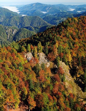 Etappe_02_Hintergebirge_NPK Kalkalpen_©Sieghartsleitner | Tourismusverband Gesäuse | © TV Gesäuse