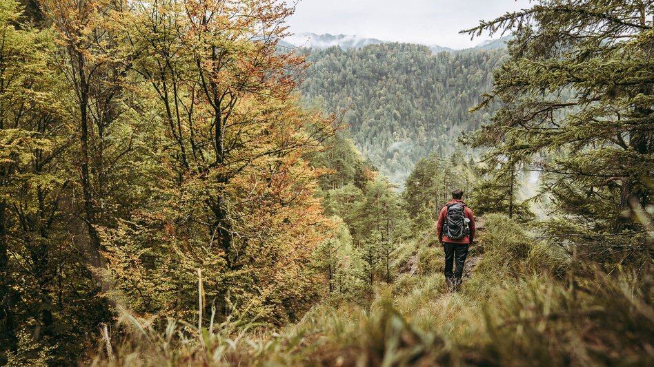 Wanderung Etappe 02 Luchs Trail Anlaufalm - Laussabaueralm - Touren-Impression #2.2 | © TV Gesäuse