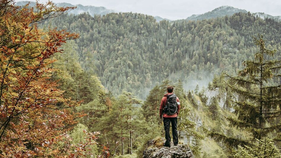 Wanderung Etappe 02 Luchs Trail Anlaufalm - Laussabaueralm - Touren-Impression #2.3 | © TV Gesäuse