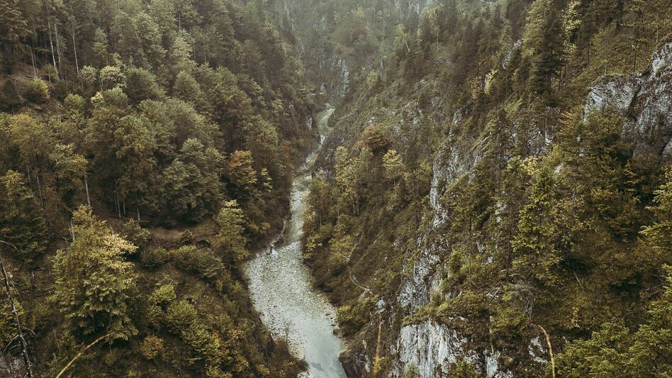 Wanderung Etappe 02 Luchs Trail Anlaufalm - Laussabaueralm - Touren-Impression #2.6 | © TV Gesäuse