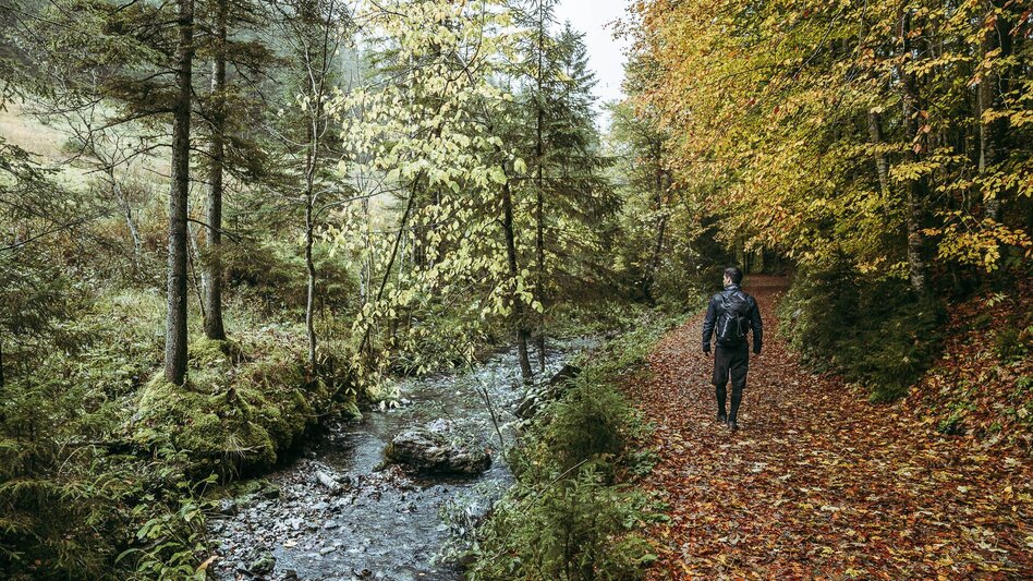 Wanderung Etappe 02 Luchs Trail Anlaufalm - Laussabaueralm - Touren-Impression #2.9 | © TV Gesäuse