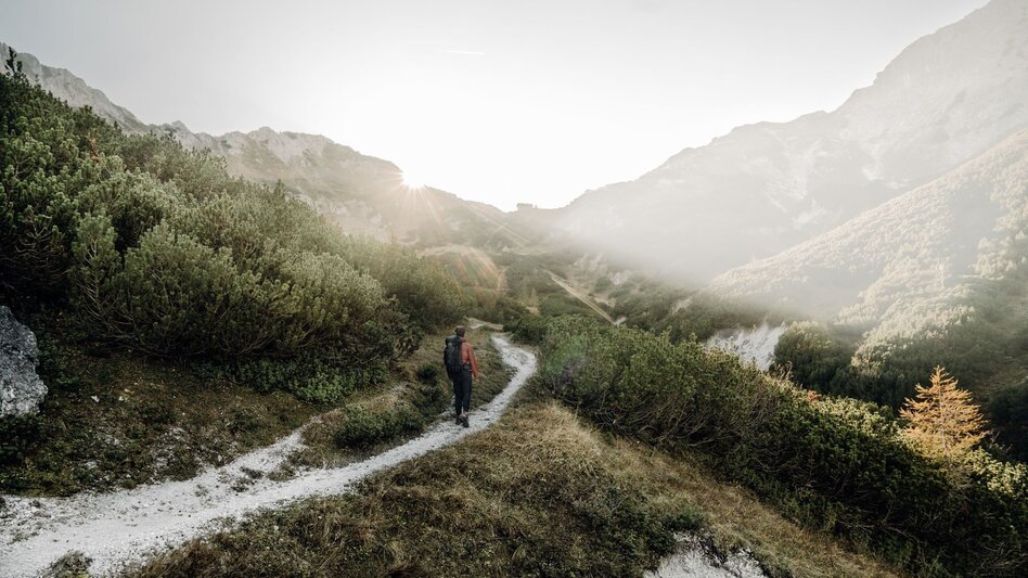 Hiking route Lynx Trail - Stage  03 Laussabaueralm-Admont - Touren-Impression #2.2 | © TV Gesäuse