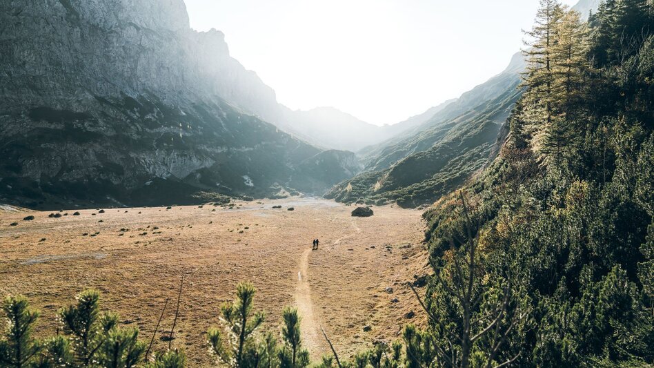 Hiking route Lynx Trail - Stage  03 Laussabaueralm-Admont - Touren-Impression #2.5 | © TV Gesäuse