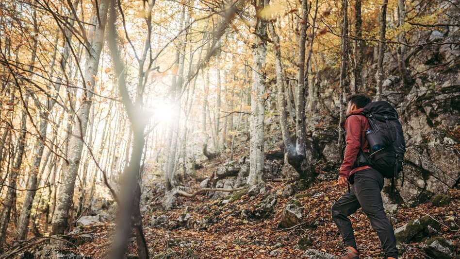 Hiking route Lynx Trail - Stage  03 Laussabaueralm-Admont - Touren-Impression #2.8 | © TV Gesäuse