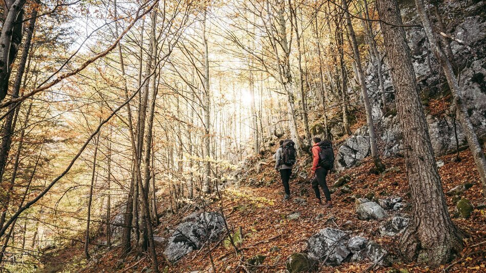 Hiking route Lynx Trail - Stage  03 Laussabaueralm-Admont - Touren-Impression #2.9 | © TV Gesäuse