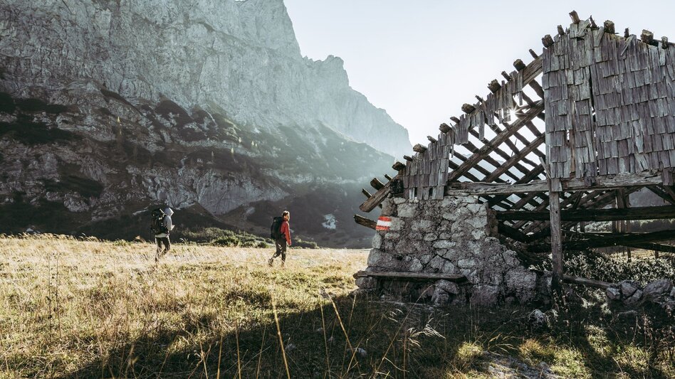 Hiking route Lynx Trail - Stage  03 Laussabaueralm-Admont - Touren-Impression #2.10 | © TV Gesäuse