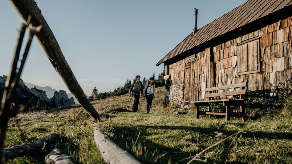 Wanderung Etappe 04 Luchs Trail Admont - Klinkehütte - Touren-Impression #2.2 | © TV Gesäuse