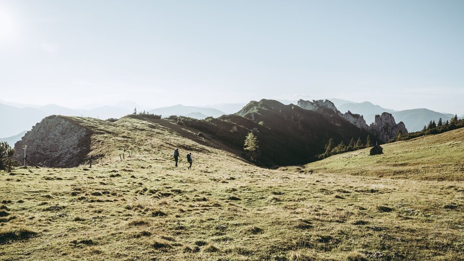 Wanderung Etappe 04 Luchs Trail Admont - Klinkehütte - Touren-Impression #2.5 | © TV Gesäuse