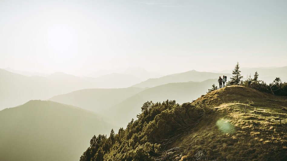 Wanderung Etappe 04 Luchs Trail Admont - Klinkehütte - Touren-Impression #2.7 | © TV Gesäuse