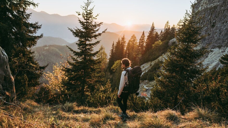 Wanderung Etappe 04 Luchs Trail Admont - Klinkehütte - Touren-Impression #2.11 | © TV Gesäuse