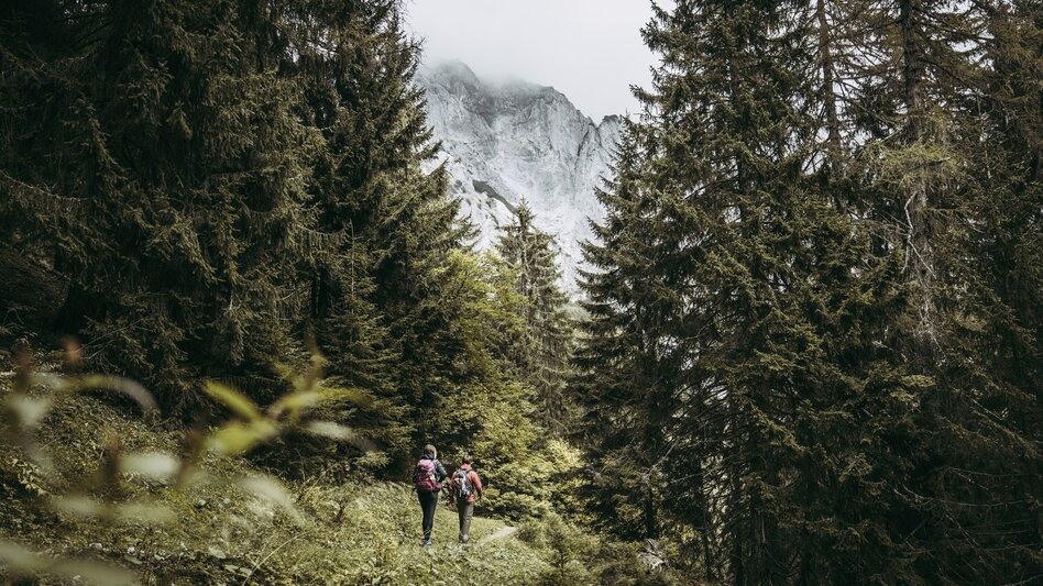 Wanderung Etappe 05 Luchs Trail Klinkehütte - Johnsbach - Touren-Impression #2.7 | © TV Gesäuse