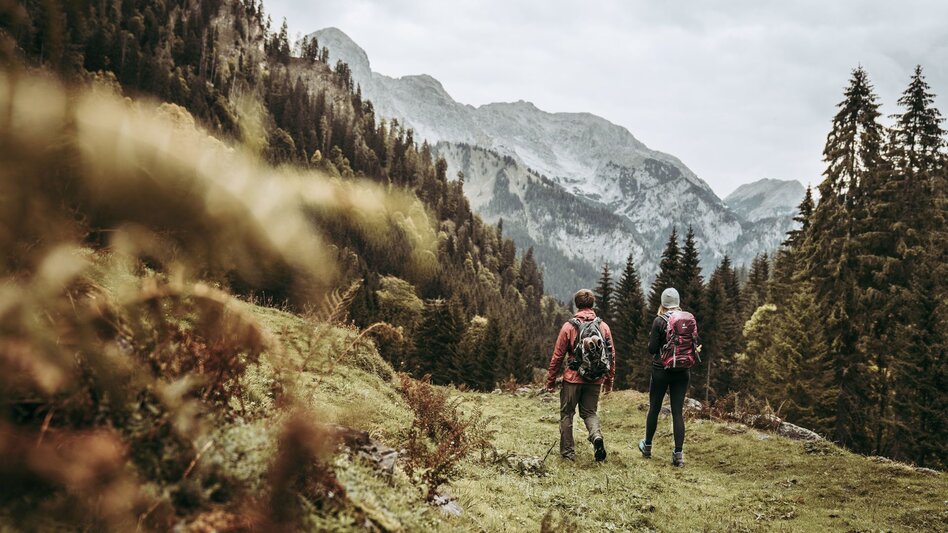 Wanderung Etappe 05 Luchs Trail Klinkehütte - Johnsbach - Touren-Impression #2.9 | © TV Gesäuse