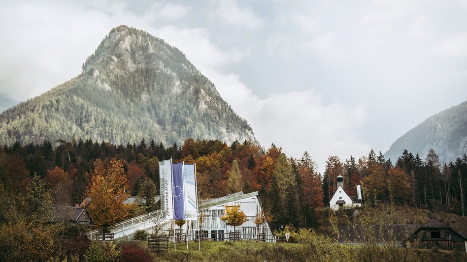 Wanderung Etappe 06 Luchs Trail Johnsbach - Ennstalerhütte (Standard) - Touren-Impression #2.7 | © TV Gesäuse