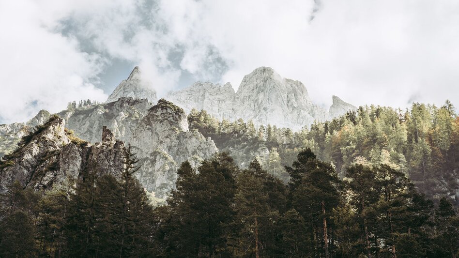 Wanderung Etappe 06 Luchs Trail Johnsbach - Ennstalerhütte (Standard) - Touren-Impression #2.8 | © TV Gesäuse