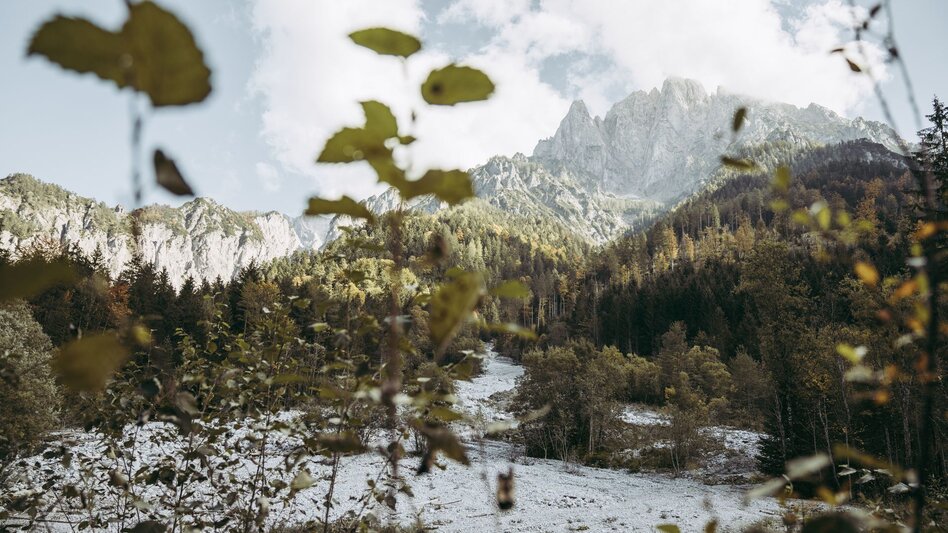 Wanderung Etappe 06 Luchs Trail Johnsbach - Ennstalerhütte (Standard) - Touren-Impression #2.11 | © TV Gesäuse