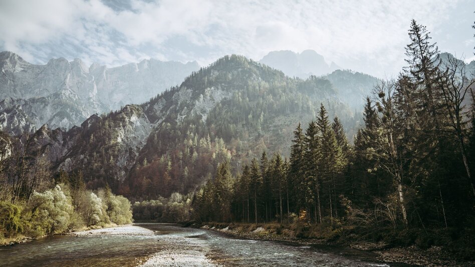 Wanderung Etappe 06 Luchs Trail Johnsbach - Ennstalerhütte (Standard) - Touren-Impression #2.13 | © TV Gesäuse